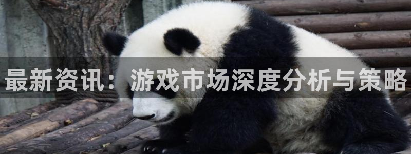 极悦娱乐手机网页版登录：最新资讯：游戏市场深度分析与策略