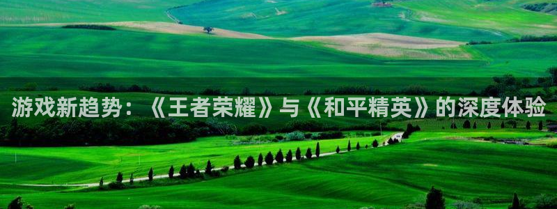 极悦娱乐的意思