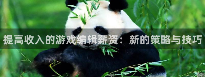 极悦娱乐网页登录入口官网：提高收入的游戏编辑薪资：新的策略与