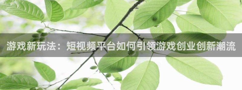 极悦娱乐注册官方登录app：游戏新玩法：短视频平台如何引领游