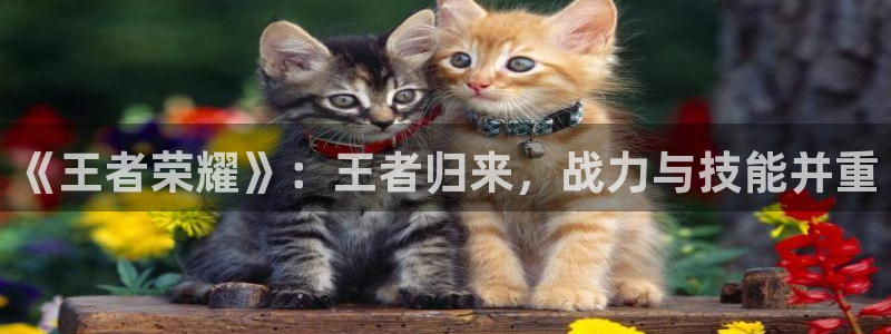 极悦娱乐平台官方网站