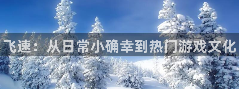 极悦娱乐注册登录平台：飞速：从日常小确幸到热门游戏文化
