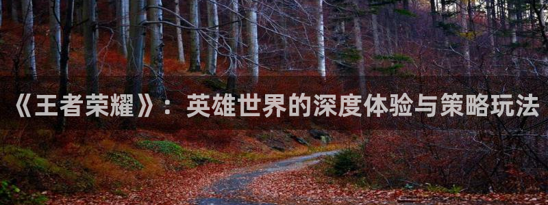 极悦娱乐什么意思