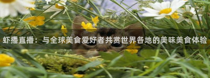 乐球直播乐球tv：虾播直播：与全球美食爱好者共赏世界各地的美味美食体验