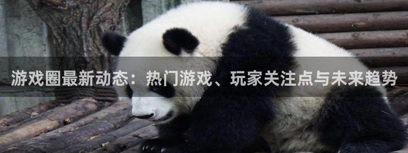 极悦娱乐线路测试