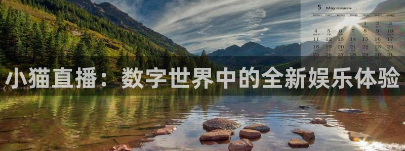 乐球直播乐球tv：小猫直播：数字世界中的全新娱乐体验