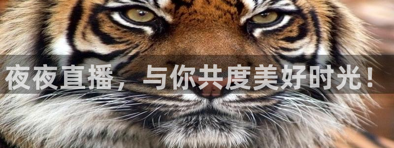乐球吧jrs直播：夜夜直播，与你共度美好时光！