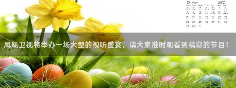 乐球直播(无插件)足球：凤凰卫视将举办一场大型的视听盛宴，请大家准时观看到精彩的节目！