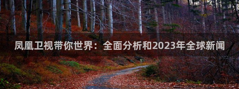 乐球直播(无插件)：凤凰卫视带你世界：全面分析和2023年全球新闻